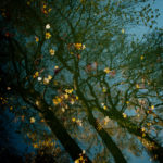 Série orgue : Mr Handel’s Invention